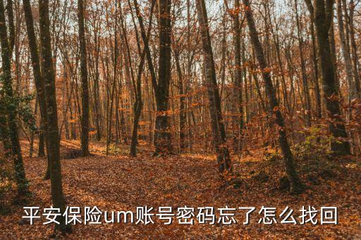 平安保險um賬號密碼忘了怎么找回