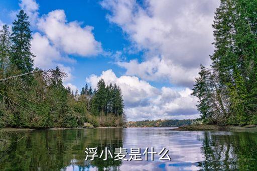 浮小麥是什么