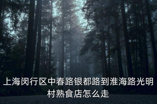 上海市淮海路光明村，上海閔行區(qū)中春路銀都路到淮海路光明村熟食店怎么走