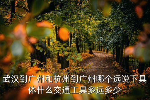 武漢到廣州和杭州到廣州哪個遠說下具體什么交通工具多遠多少