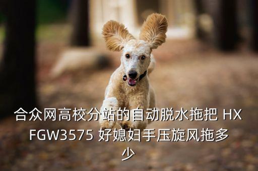 合眾網高校分站的自動脫水拖把 HXFGW3575 好媳婦手壓旋風拖多少