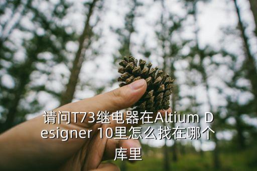 請問T73繼電器在Altium Designer 10里怎么找在哪個庫里