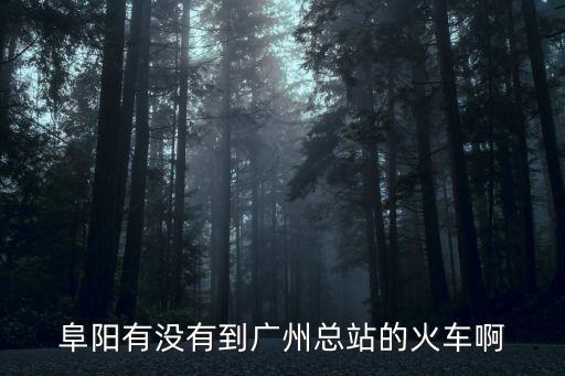 阜陽至廣州的火車開通了嗎，阜陽有沒有到廣州總站的火車啊