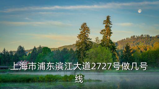 上海市浦東區智能養老模式，上海市浦東新區金業路88號是作什么的