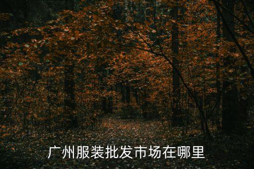 服裝批發(fā)市場在廣州，廣州有幾個服裝批發(fā)市場