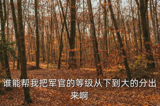 部隊軍銜等級排名，誰能幫我把軍官的等級從下到大的分出來啊