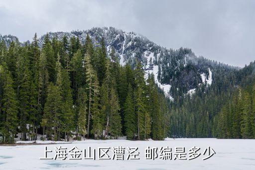 上海市漕涇鎮(zhèn)108號(hào)郵編，上海金山區(qū)漕涇 郵編是多少