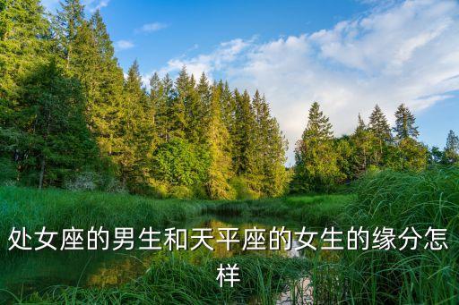 處女座的男生和天平座的女生的緣分怎樣