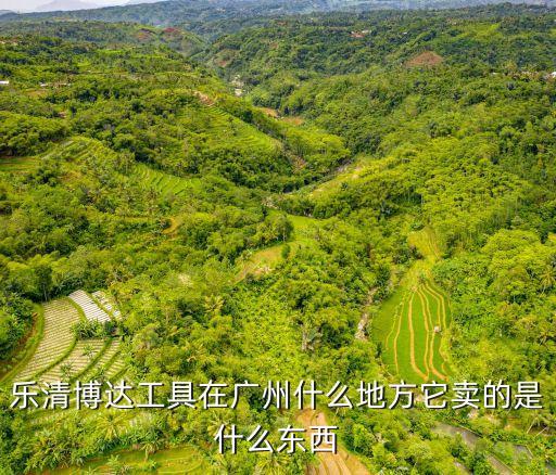 樂清博達工具在廣州什么地方它賣的是什么東西