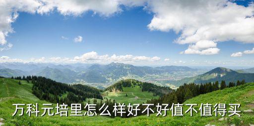 廣州黃埔大道西房子值得買嗎，金澤大廈怎么樣好不好值不值得買