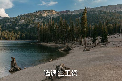 上海市選調(diào)生 工資，選調(diào)生工資
