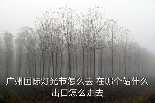 廣州國際燈光節怎么去 在哪個站什么出口怎么走去