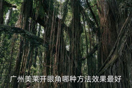 廣州美萊開(kāi)眼角哪種方法效果最好