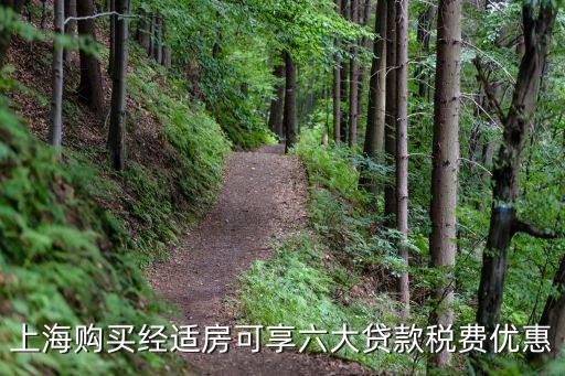 上海市最新房貸政策，上海的房貸政策是怎樣的契稅政策是什么