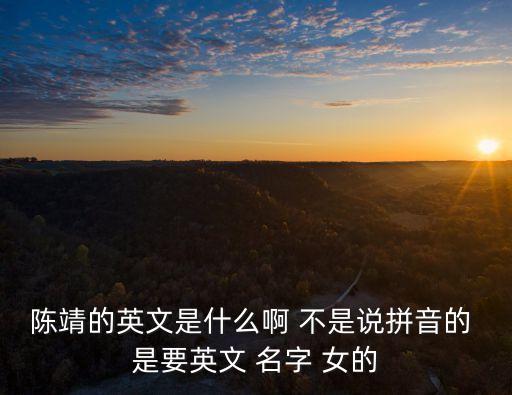 上海市人大秘書長陳靖，陳靖是誰幾歲幾月幾號生日最喜歡什么東東除人以外