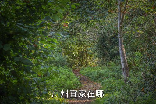 廣州宜家在哪