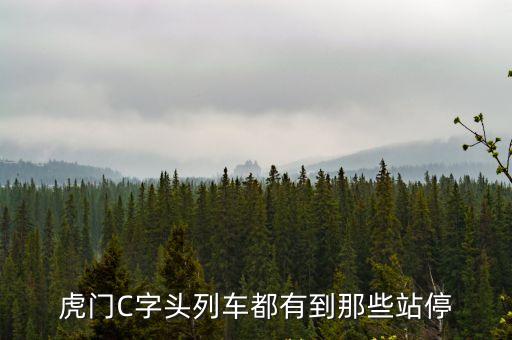 虎門C字頭列車都有到那些站停