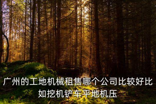 廣州的工地機械租售哪個公司比較好比如挖機鏟車平地機壓