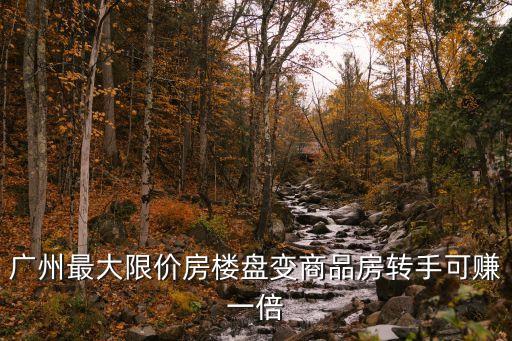 廣州最大限價房樓盤變商品房轉手可賺一倍