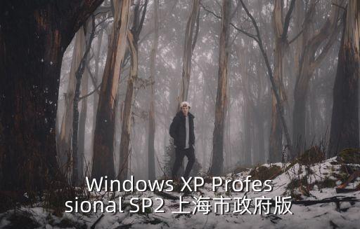 上海市政模版庫(kù)安裝包，Windows XP Professional SP2 上海市政府版