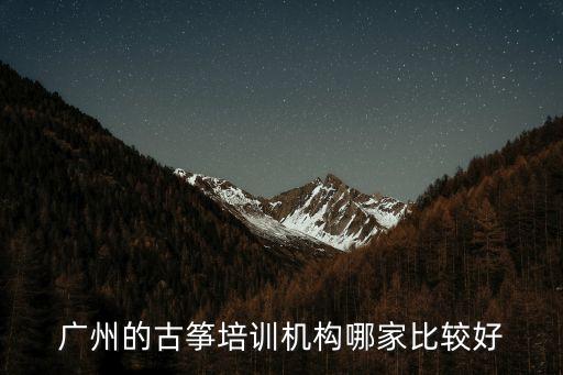 廣州的古箏培訓(xùn)機構(gòu)哪家比較好