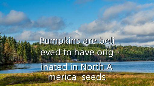 pumpkins，pumpkin可數(shù)還是不可數(shù)
