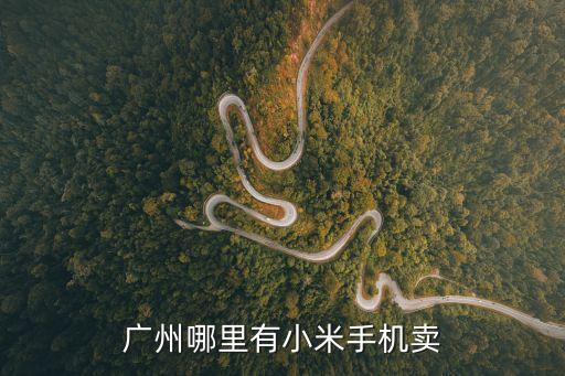 廣州小米專賣店在哪里有，廣州哪里有小米手機賣
