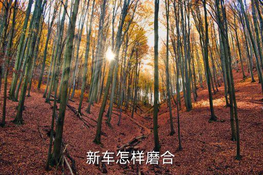 新車怎么磨合，新車怎樣磨合