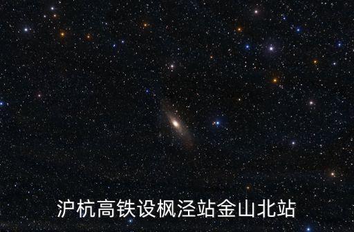 滬杭高鐵設(shè)楓涇站金山北站