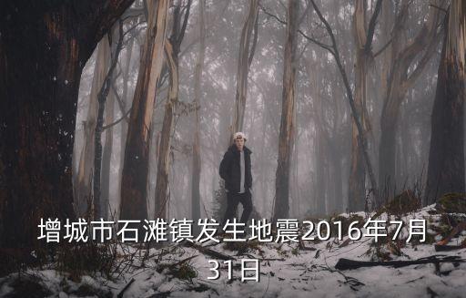 廣州增城發生地震監控，廣州增城市地震剛剛嚇我一跳有人知道嗎