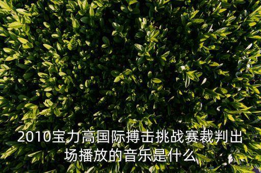 寶力高搏擊爭霸賽，2010寶力高國際搏擊挑戰(zhàn)賽裁判出場播放的音樂是什么