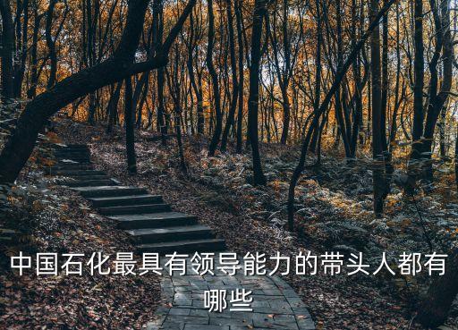 中國(guó)石化最具有領(lǐng)導(dǎo)能力的帶頭人都有哪些
