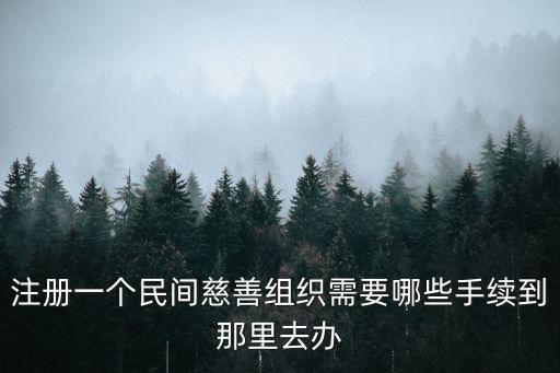 注冊(cè)一個(gè)民間慈善組織需要哪些手續(xù)到那里去辦