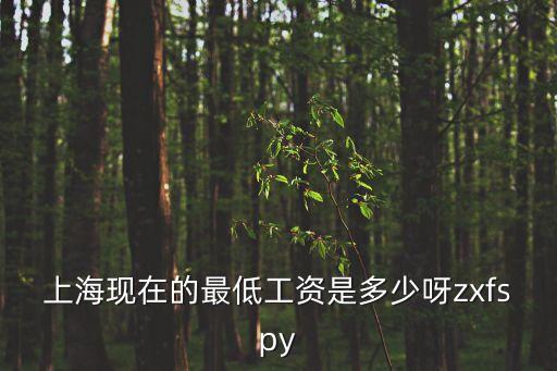 上海現(xiàn)在的最低工資是多少呀zxfspy