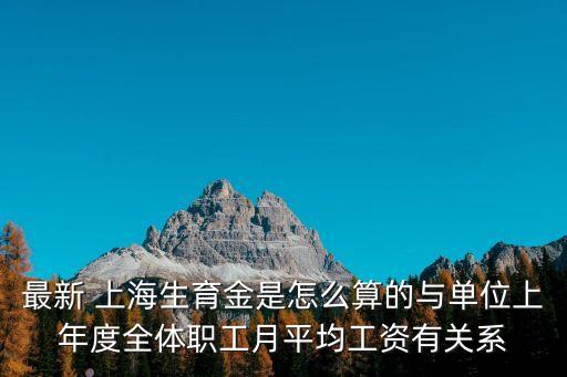 上海市事業單位生育金，我是上海的單位交的四金包括生育金嗎