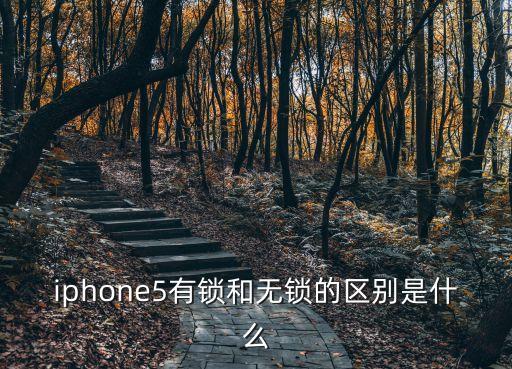 蘋果手機有鎖和無鎖的區別，蘋果有鎖和無鎖的區別