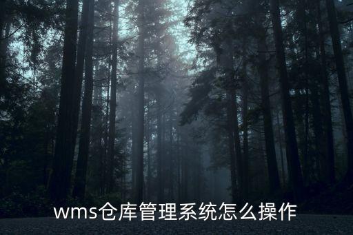 wms倉(cāng)庫(kù)管理系統(tǒng)怎么操作
