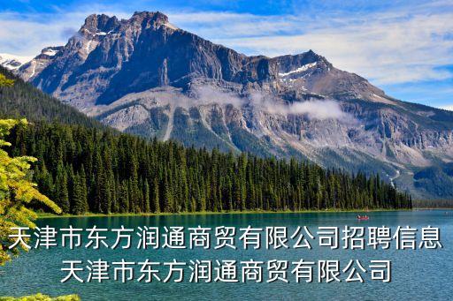 劉春義，北京芳滿庭航空服務(wù)有限公司怎么樣