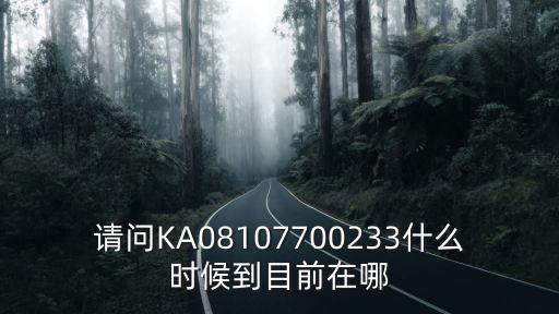 請問KA08107700233什么時(shí)候到目前在哪