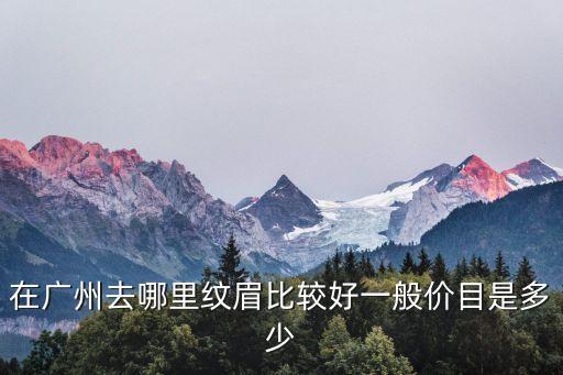 在廣州去哪里紋眉比較好一般價目是多少