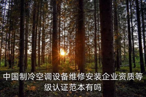上海市設備維修企業資質等級，設備維修需要資質嗎