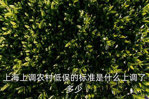 上海上調農村低保的標準是什么上調了多少