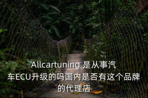 Allcartuning 是從事汽車ECU升級的嗎國內是否有這個品牌的代理店