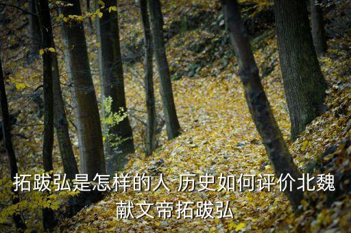 拓跋弘是怎樣的人 歷史如何評價北魏獻文帝拓跋弘