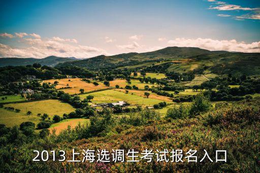 上海市選調(diào)應(yīng)屆大學(xué)生報(bào)名入口，2013上海選調(diào)生考試報(bào)名入口