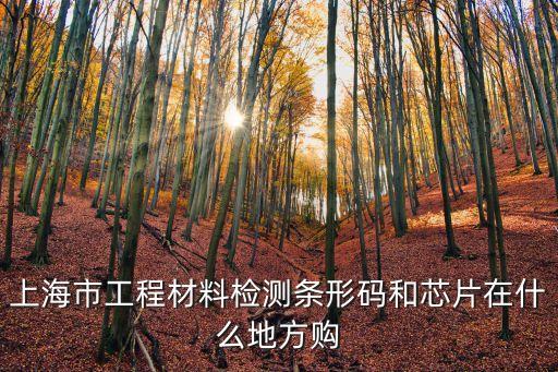 上海市試塊芯片在哪買(mǎi)，上海哪有賣(mài)TDA9370PSN21集成塊的