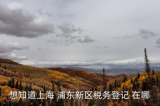 想知道上海 浦東新區(qū)稅務(wù)登記 在哪