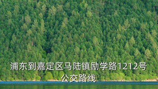 上海市勵學(xué)路，從青浦到嘉定馬陸鎮(zhèn)勵學(xué)路怎么走