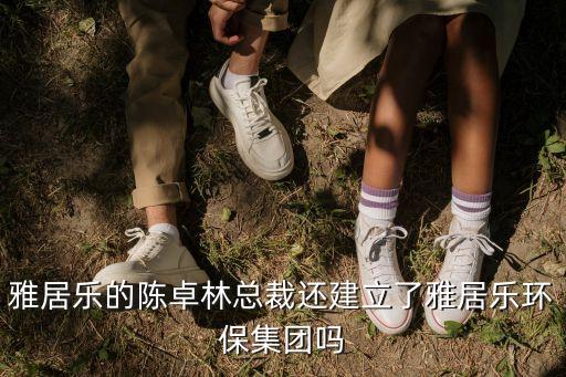 雅居樂的陳卓林總裁還建立了雅居樂環(huán)保集團(tuán)嗎