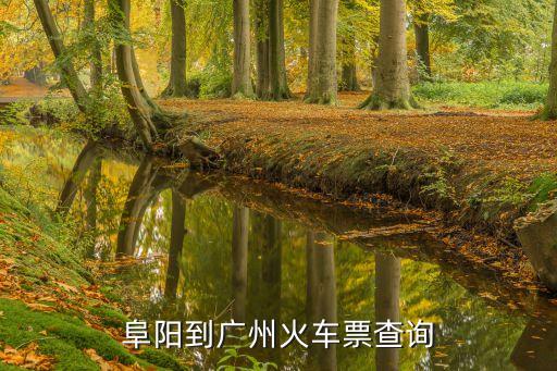 阜陽到廣州動車票查詢，誰知道阜陽到廣州的火車票多少錢幾點的班次